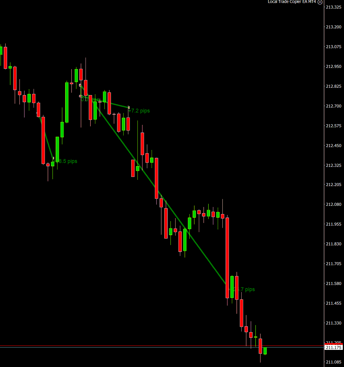 Solidny Trader tweet media