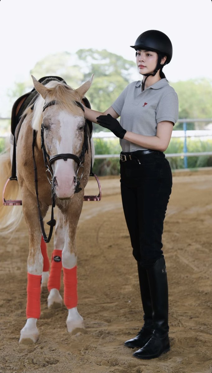 Mollie8119 tweet media