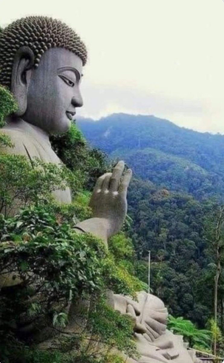 O Universo sabe o que faz, sabe o que tira, sabe o que traz.

(Buda)

Uma ótima semana pra todos nós!
☕️💯💚✨️