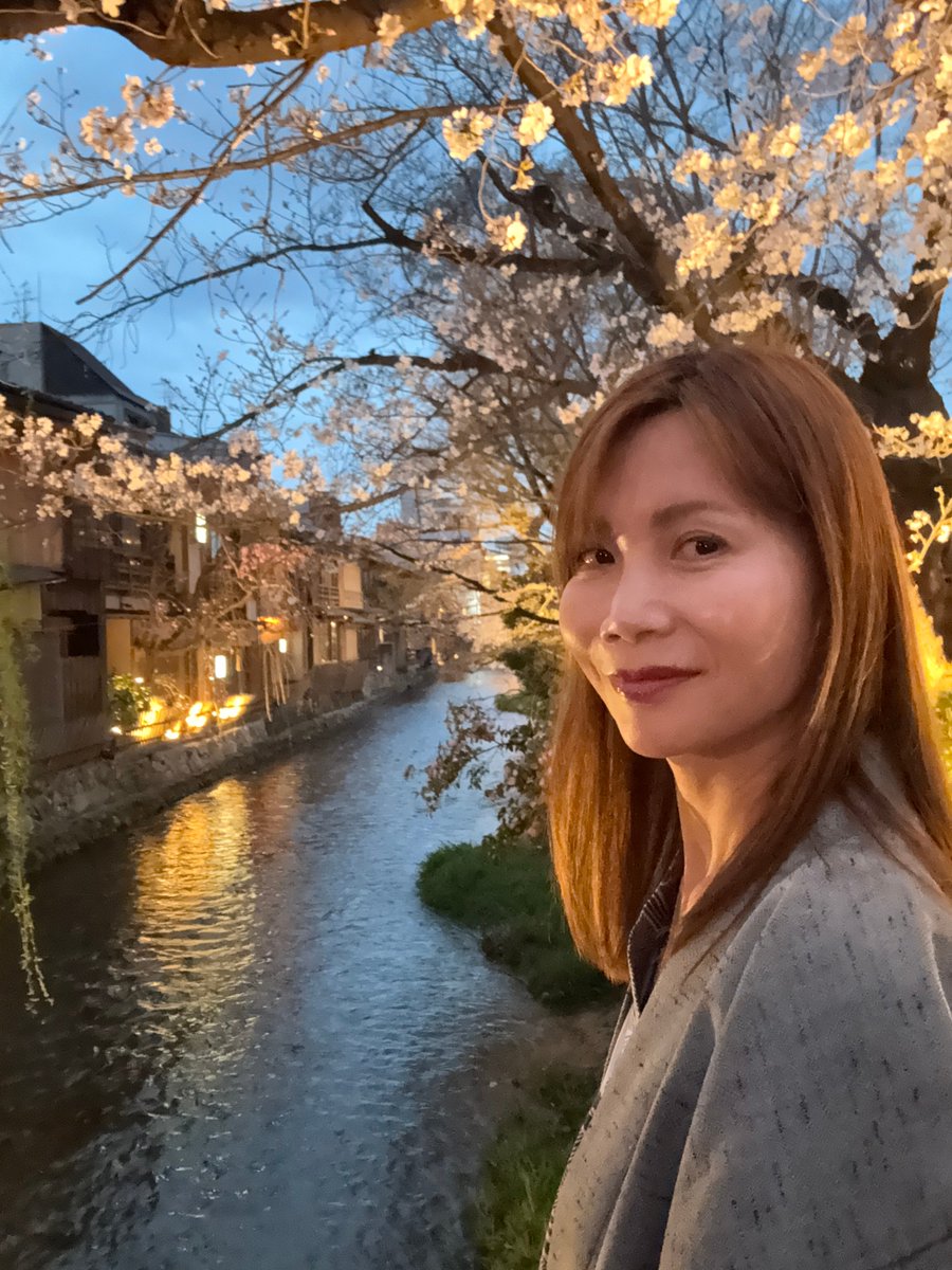 SabonLover's tweet photo. 白川の夜桜、一生分見た気がする。🌸
浴衣で座って、ただぼーっとしてた。 最高の時間だった。
京都、好きな人RT。
#白川 #京都桜 #夜桜 #着物 #京都旅行 #桜2026 #sabonlover https://t.co/S6FfkRYUWR