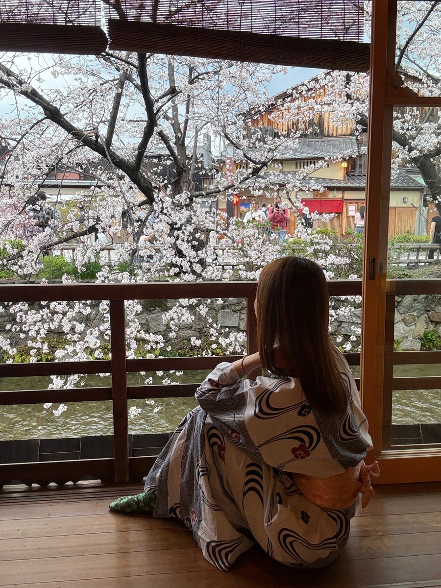 SabonLover's tweet photo. 白川の夜桜、一生分見た気がする。🌸
浴衣で座って、ただぼーっとしてた。 最高の時間だった。
京都、好きな人RT。
#白川 #京都桜 #夜桜 #着物 #京都旅行 #桜2026 #sabonlover https://t.co/S6FfkRYUWR
