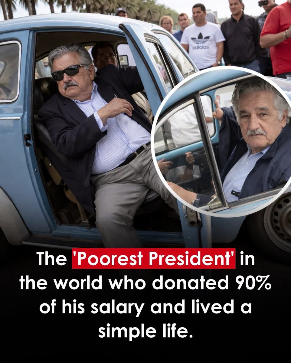 tweet_papi🐻 tweet media