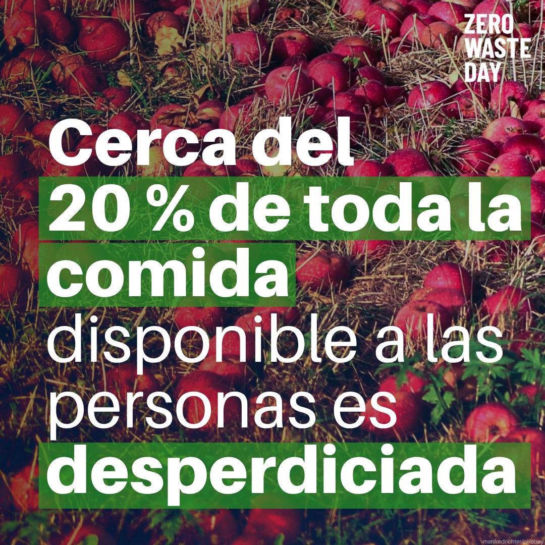 unep_espanol's tweet photo. El desperdicio de alimentos no es solo un problema ambiental y económico; también agrava la inseguridad alimentaria y debilita la resiliencia en tiempos de inestabilidad global.

Hoy es el #DíaCeroDesechos. Más información, en inglés: https://t.co/aDcCGB3zVq https://t.co/d4QysEek6n