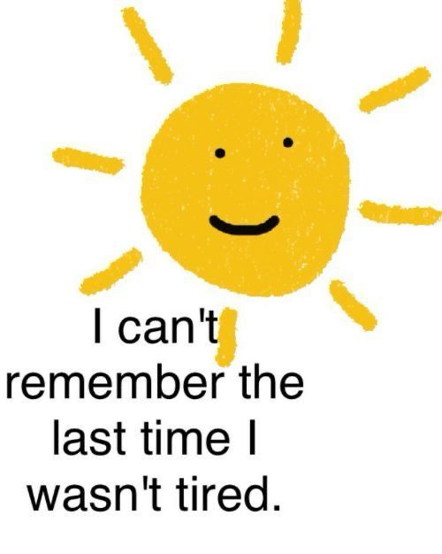 ADHD Memes tweet media