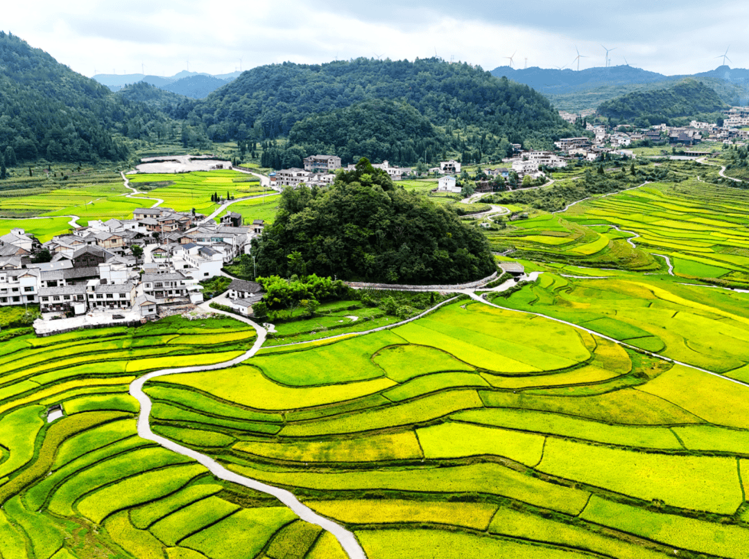 John Snow tweet media