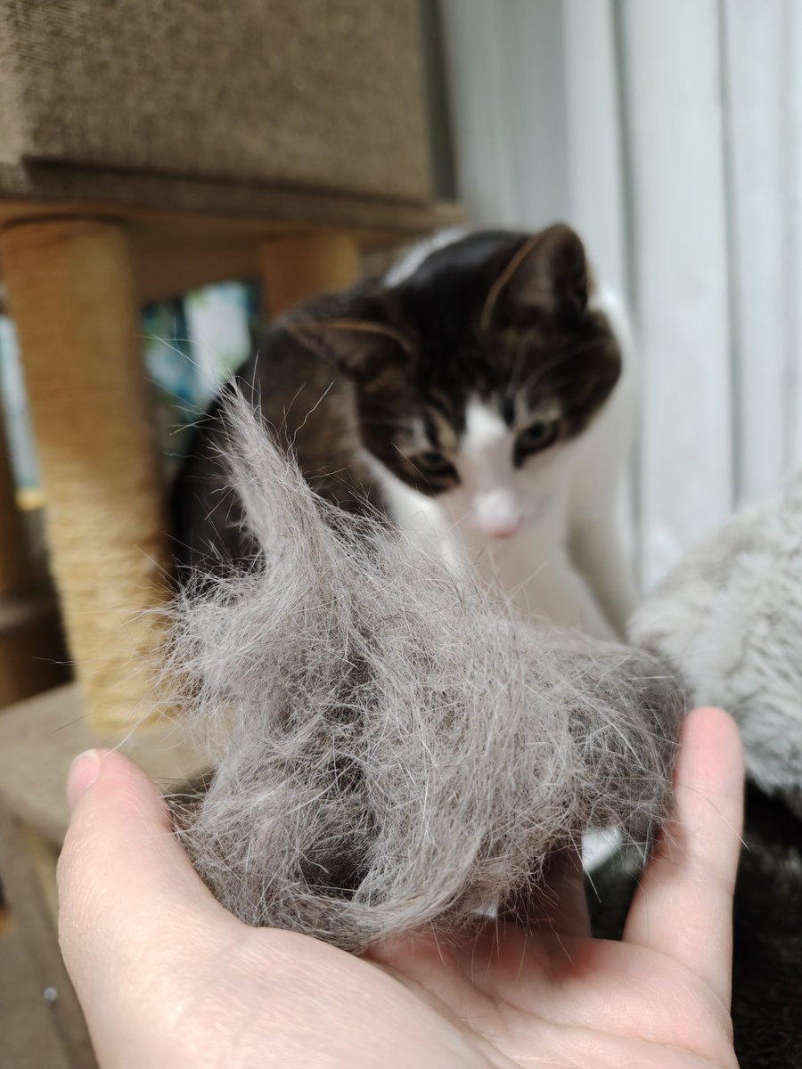 くらた tweet media