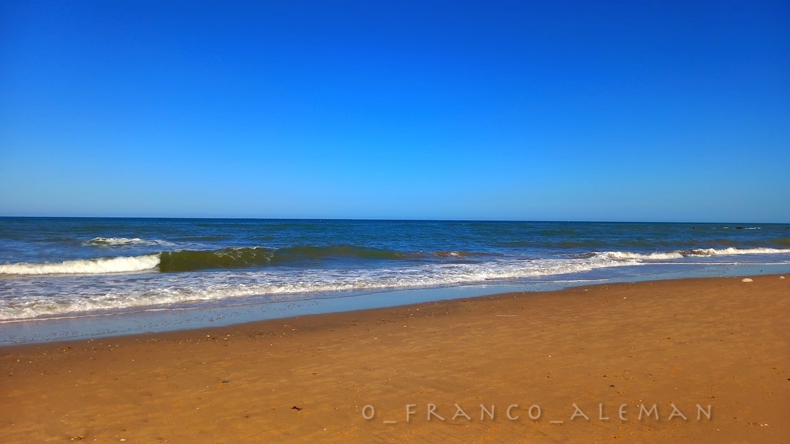 Franck Marc ✌ tweet media