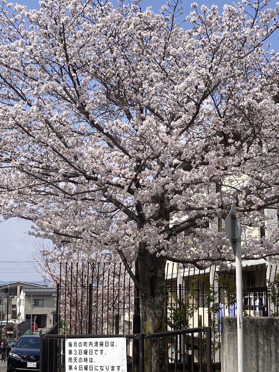 左京東部いきいき市民活動センターは
今日で終わります。
皆様　ありがとうございました。