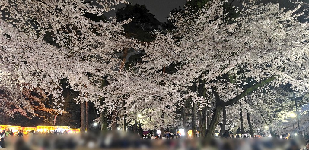 なでぃあ tweet media