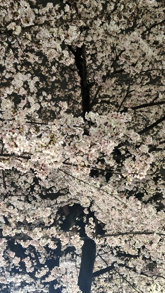 なでぃあ tweet media