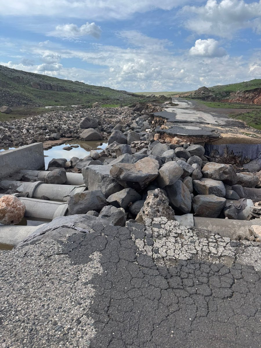 ŞBB Kırsal Hizmetler Dairesi Başkanlığı tweet media