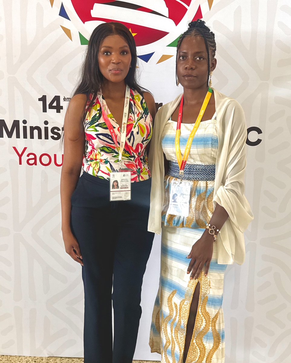 AfCFTA Youth Advisory Council tweet media