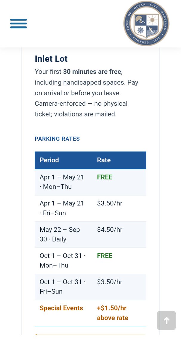 🎠 All Things OC 🎠 tweet media