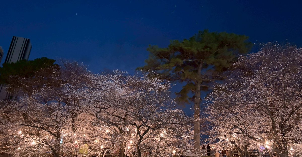 かずのり tweet media