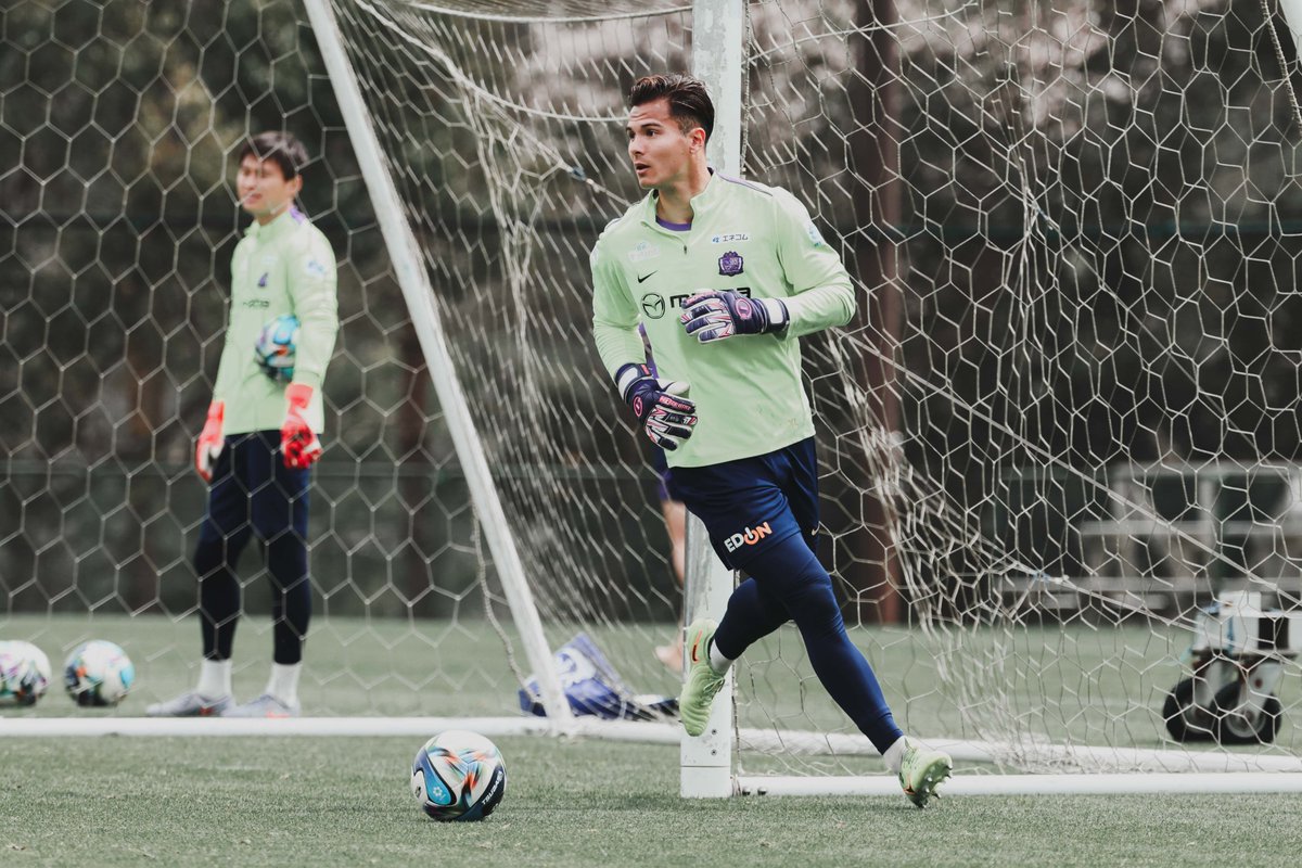 サンフレッチェ広島【公式】 tweet media