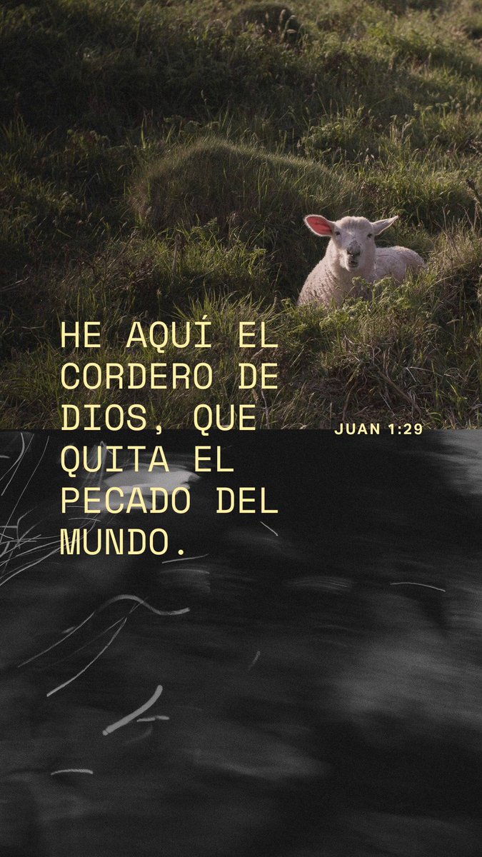 𝓕𝓻𝓪𝓷𝓬𝓲𝓼𝓬𝓸 𝓜𝓲𝓴𝓵𝔂 𝓦𝓲𝓰𝓱. 🇪🇨 tweet media