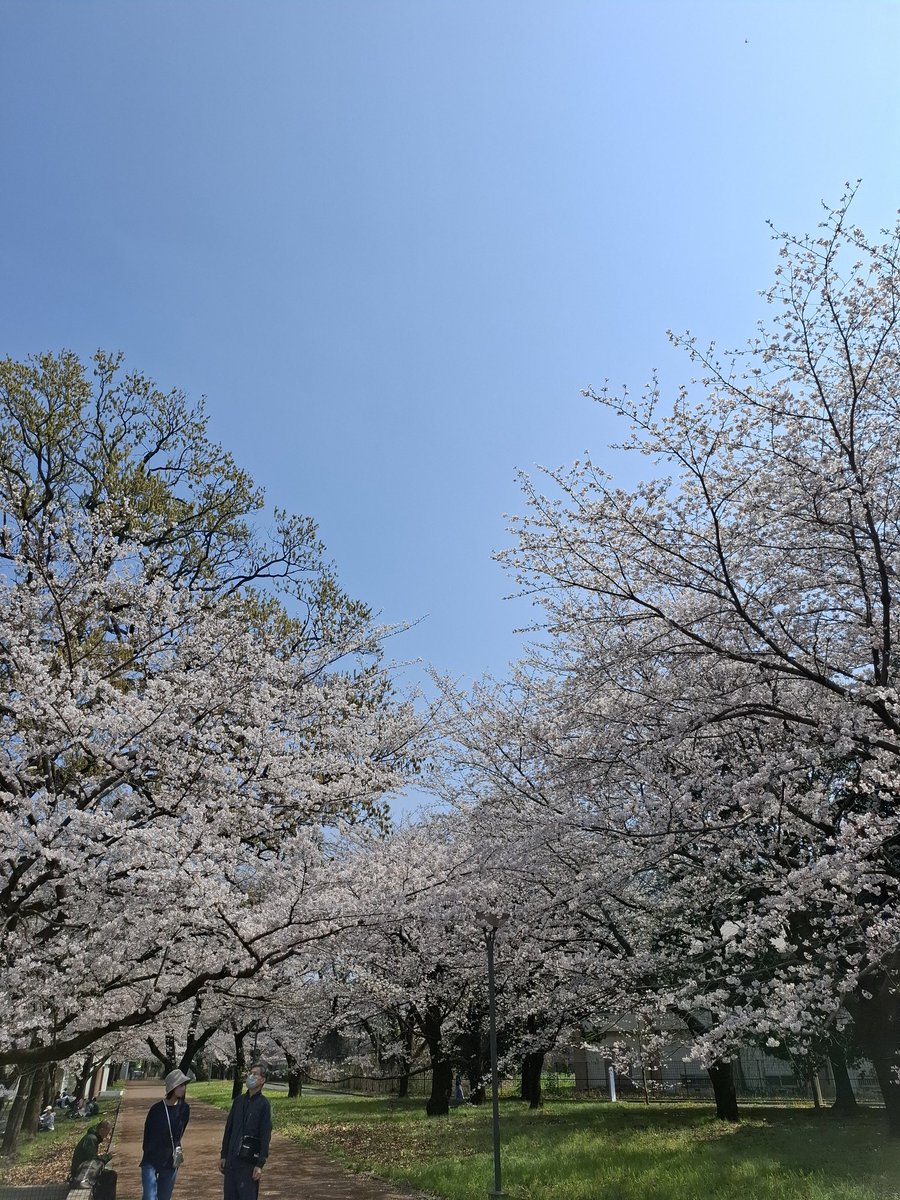 ハンドメイドサークルピュア tweet media