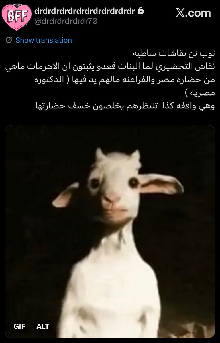 (••() tweet media