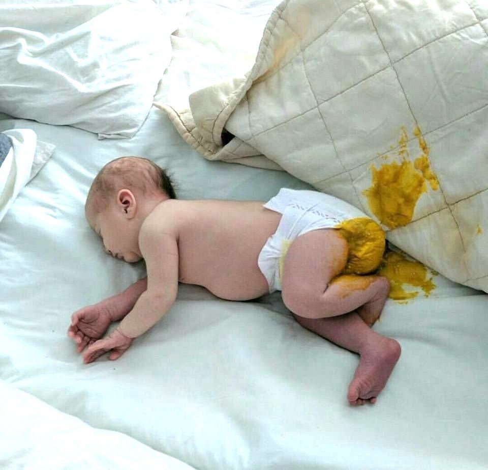 BolsoRobin tweet media