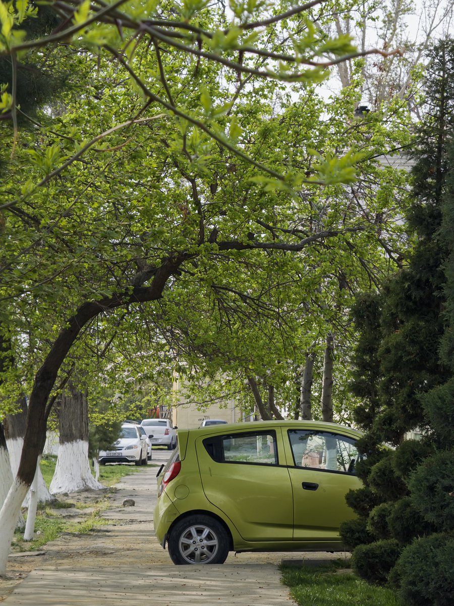 Навбатдаги сайр <a href="/xattabych/">Adam K 🐈‍⬛</a> билан