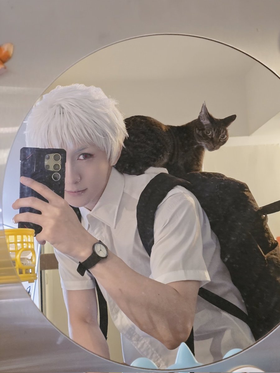 🐾TangTang堂🐾 tweet media