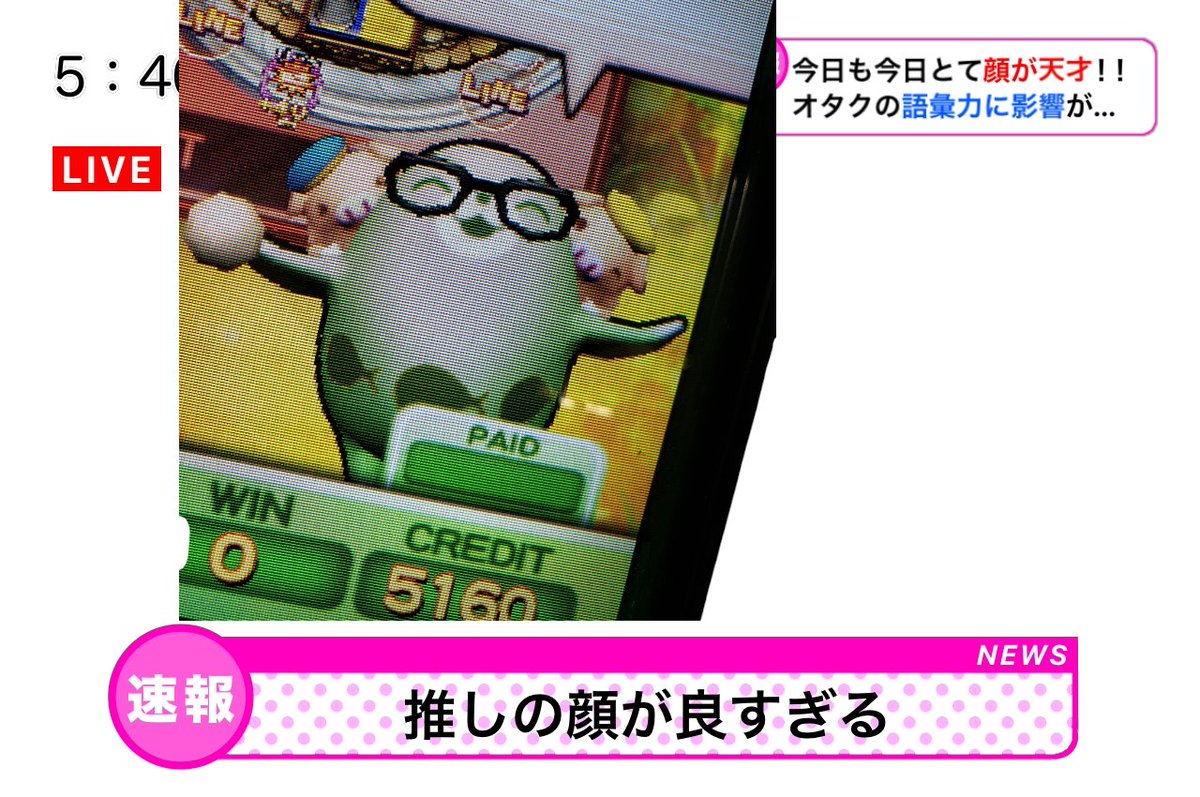 キョウ tweet media