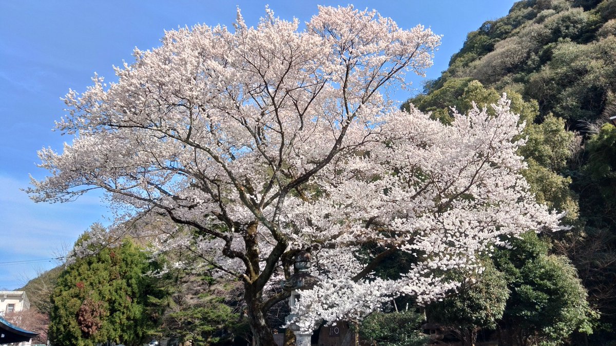 taroU@XL750 TRANSALP tweet media