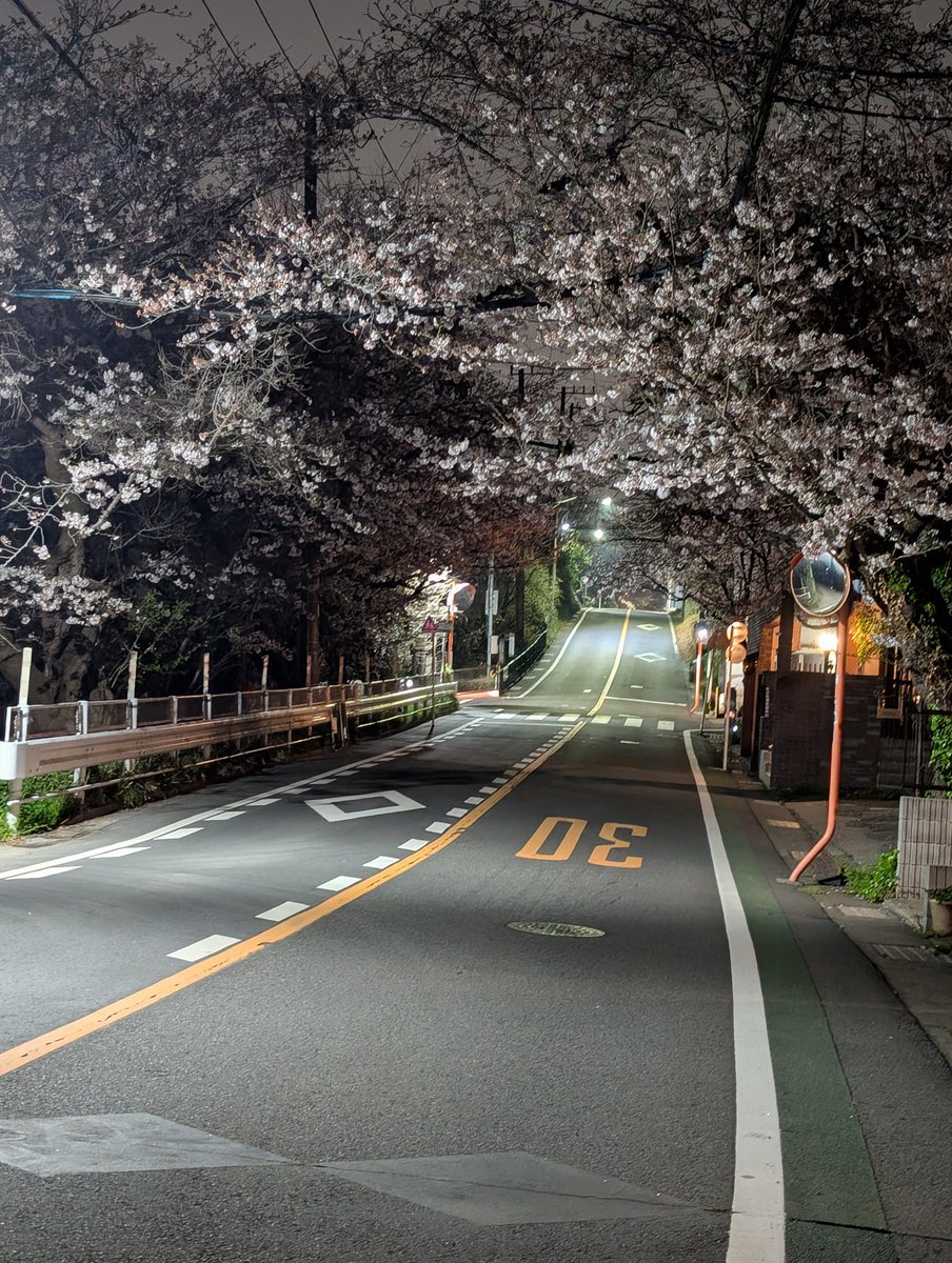 仕事が終わって寄り道の夜桜。鎌倉山をバイクで流して来ました。昔、パン屋さんがあった所。