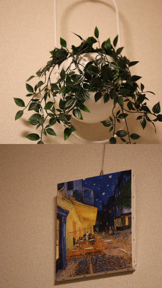 古浜あおい/ F.Aoi 🦋4/29パルフェット tweet media