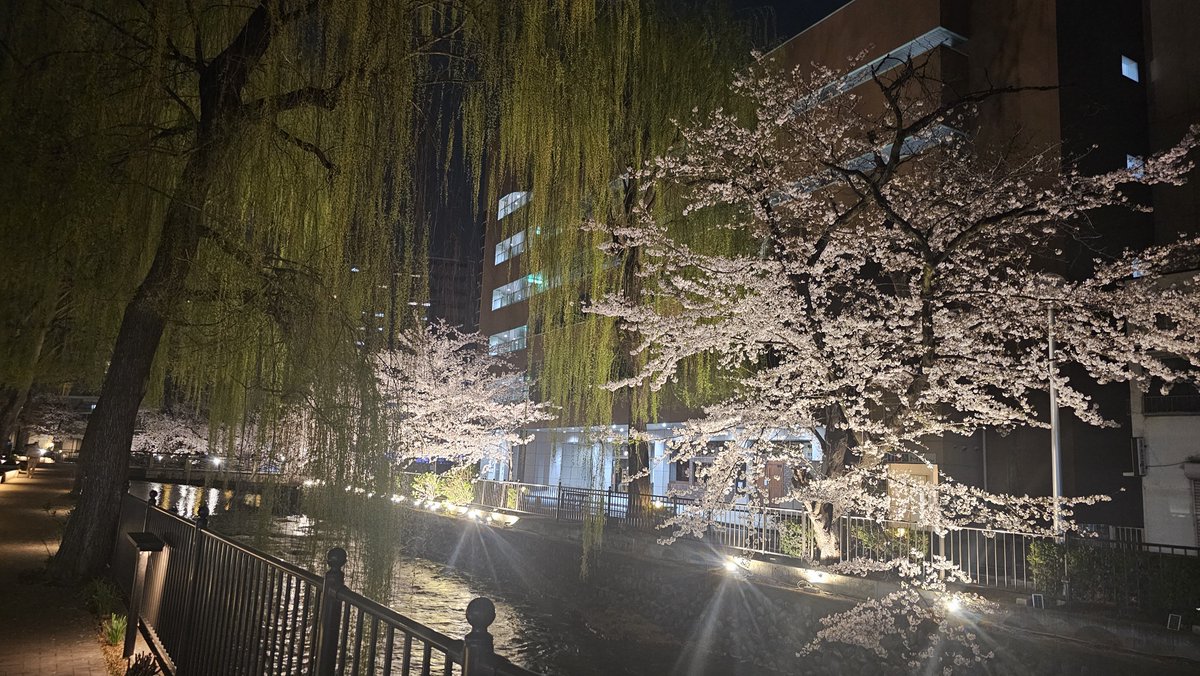 LUNAcreators tweet media