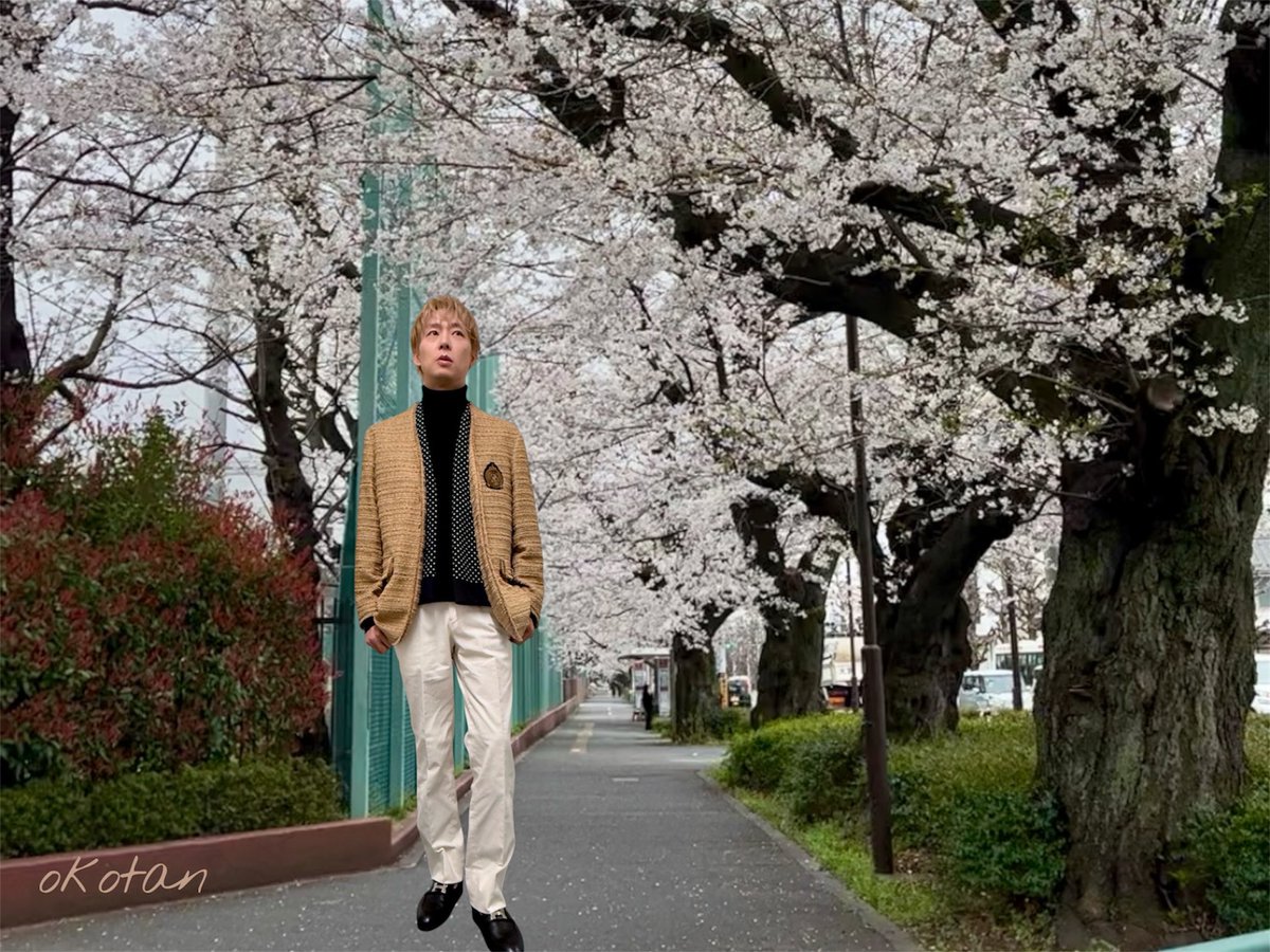 🌻おこたん🌻 tweet media