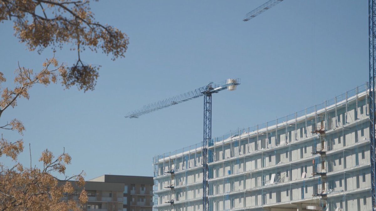 FRANCE 24 – Europe tweet media