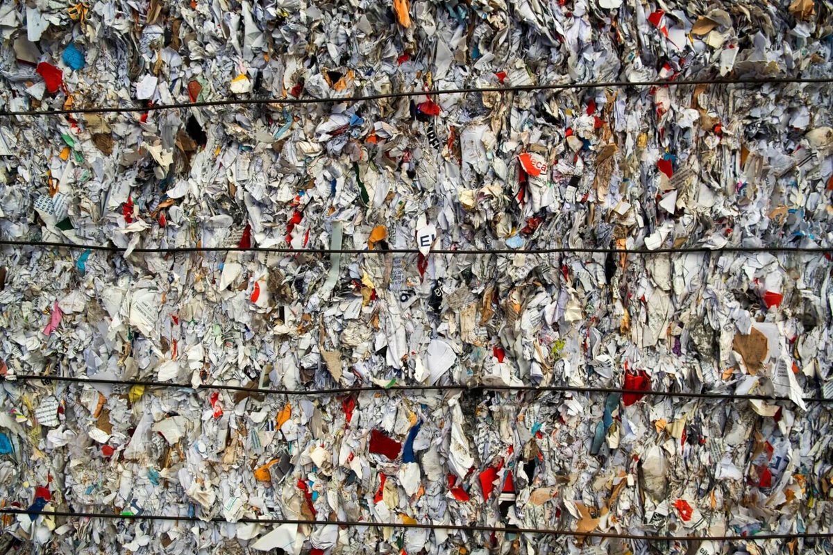 @ElPeriodicoDo tweet media