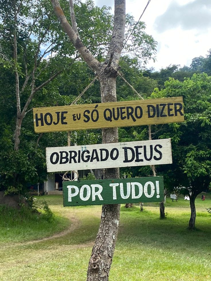 Joice Domingues (@joicedomin17825) on Twitter photo 
