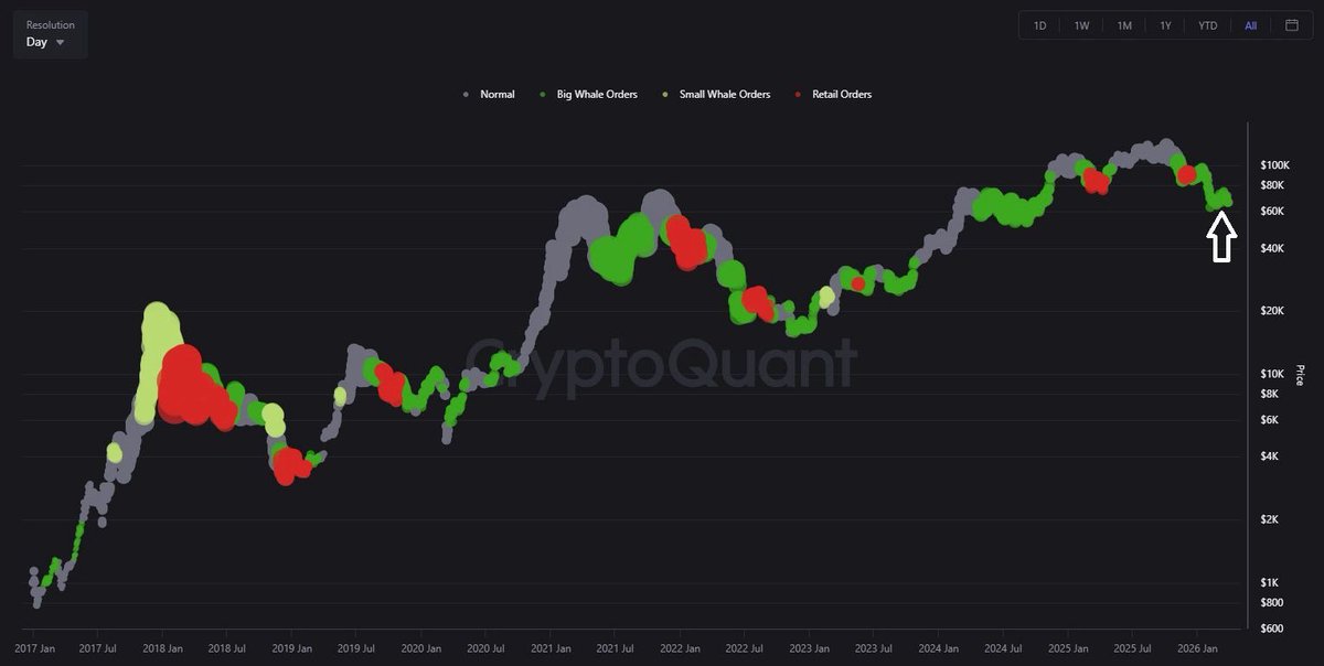 Crypto Rover tweet media