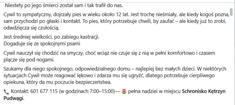 Robwalka Wolf tweet media