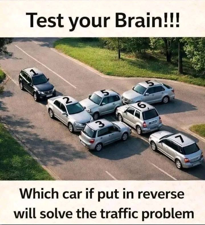 tweet_papi🐻 tweet media