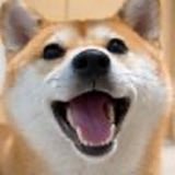 Real OG Crypto lover tweet media