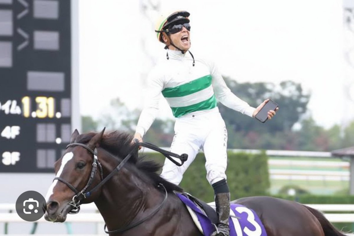 アラシ tweet media