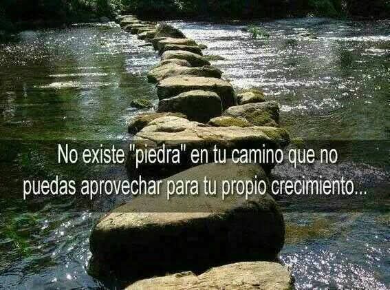 Buenos días La vida es un camino de ida y vuelta, a la ida se sufre, a la vuelta se aprende. Todo lo que va, en algún momento vuelve.