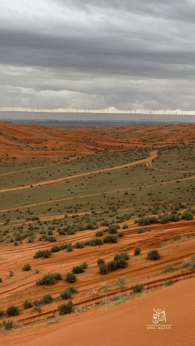 TSP جيوغرافيك tweet media