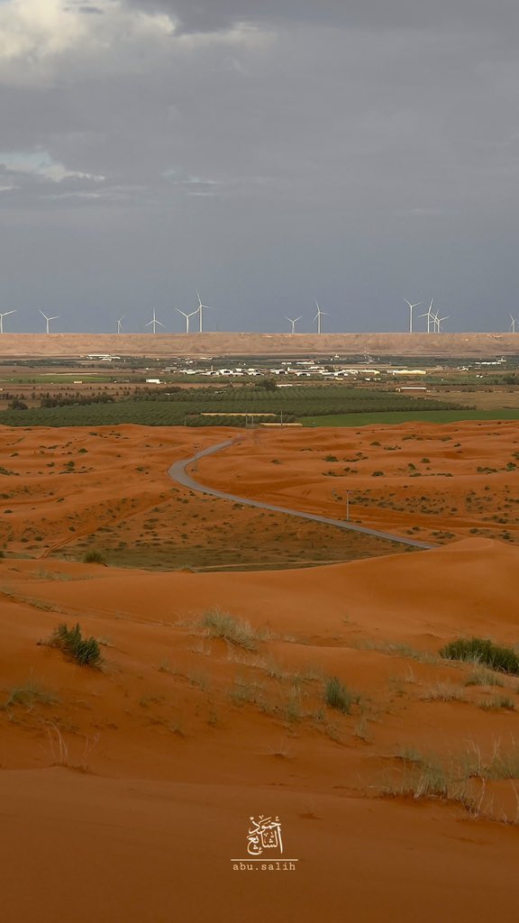 TSP جيوغرافيك tweet media