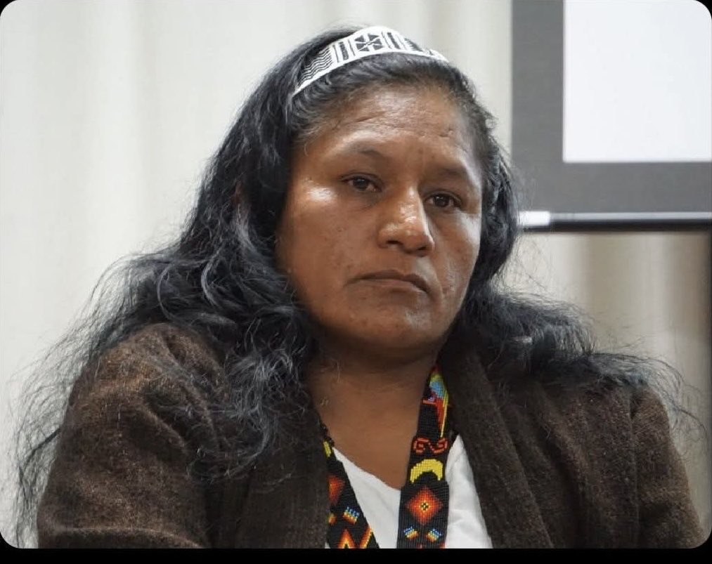 William Sánchez 💙 tweet media