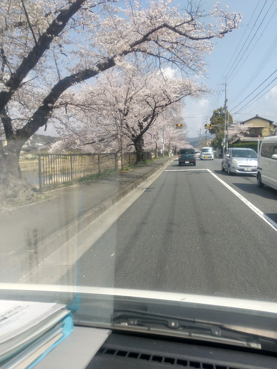 ぽっちゃりお尻は可愛い❤️ tweet media