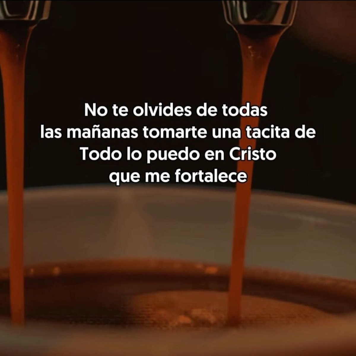 El Linaje de Jesus tweet media