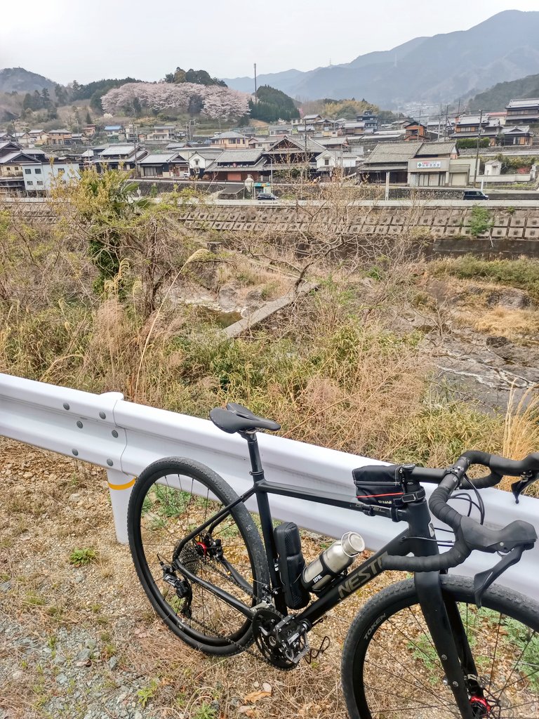 縞しっぽ tweet media