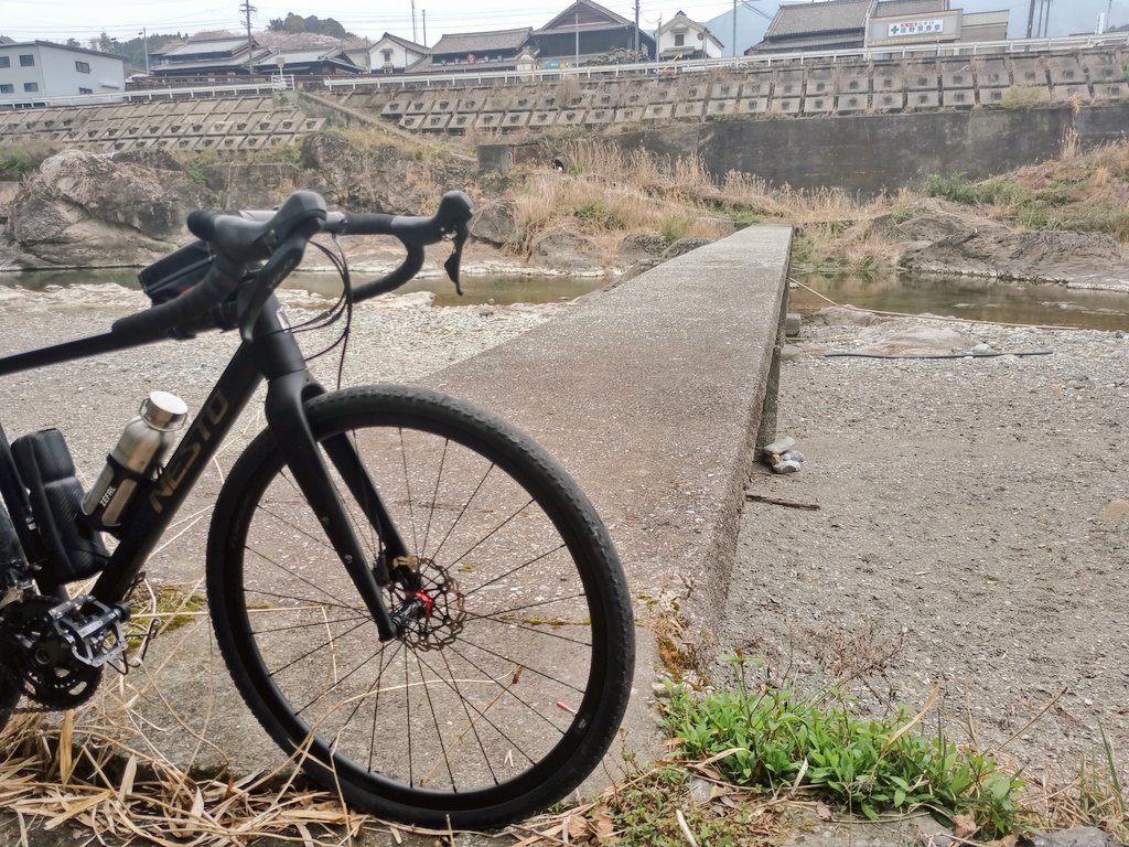 縞しっぽ tweet media