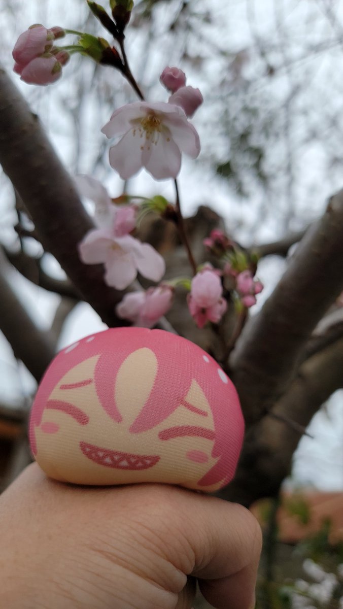 2026.3.30
サンテック駐車場🌸景色