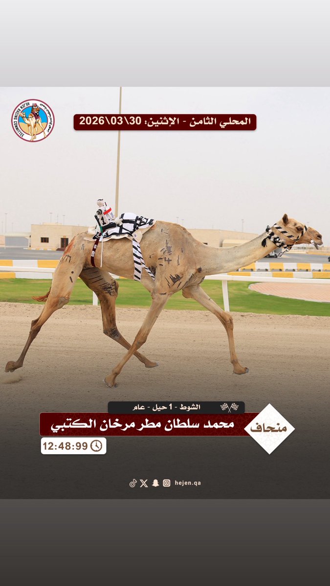اللجنة المنظمة لسباق الهجن tweet media