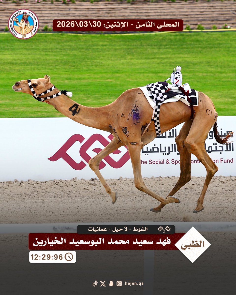 اللجنة المنظمة لسباق الهجن tweet media